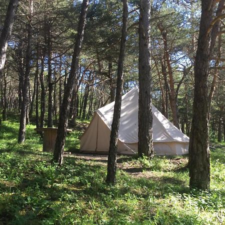 Camping La Chabannerie Hotel Saint-Martin-de-Clelles ภายนอก รูปภาพ