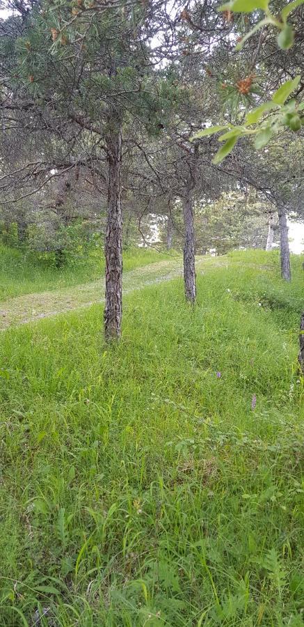 Camping La Chabannerie Hotel Saint-Martin-de-Clelles ภายนอก รูปภาพ